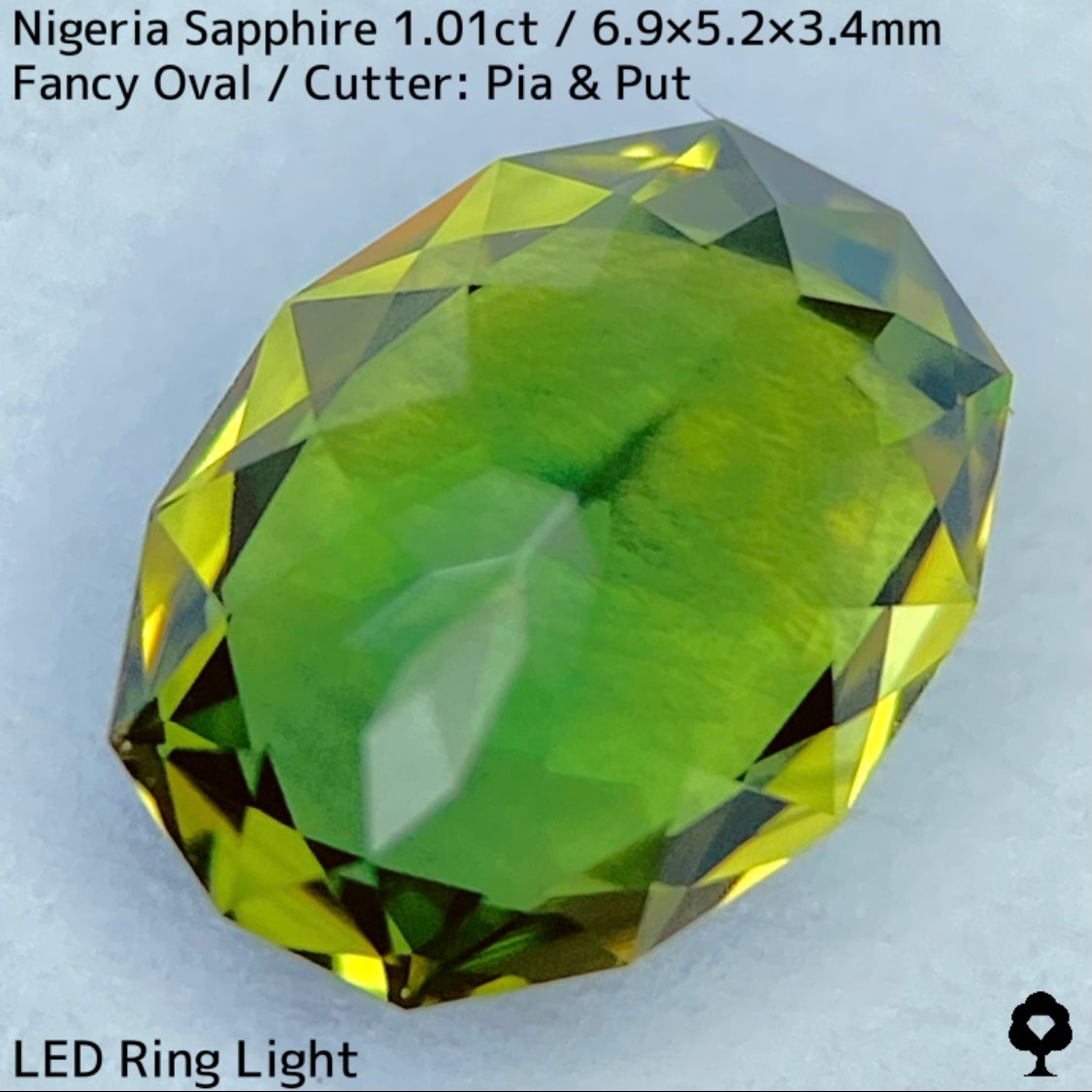 ナイジェリア産サファイア1.01ct★ブルーイッシュグリーンとイエローの混ざり合うリバーシブル感が面白い美結晶