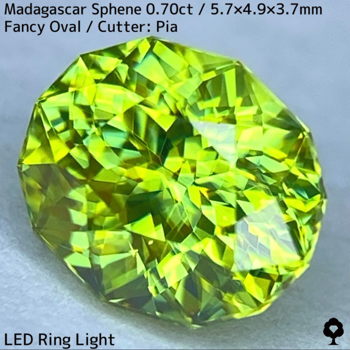 マダガスカルスフェーン0.70ct★明るく鮮やかな希少グリーンの超美結晶から煌めきファイアー止まらない絶品