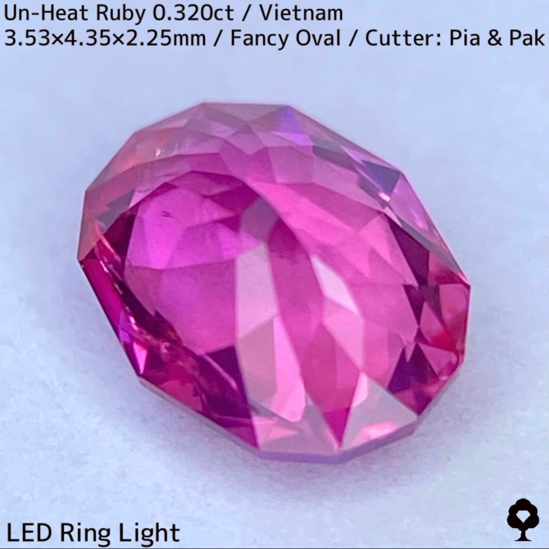 ベトナム産非加熱ルビー0.320ct★ネオンピンクの煌めき溢れる花咲くファンシーオーバル