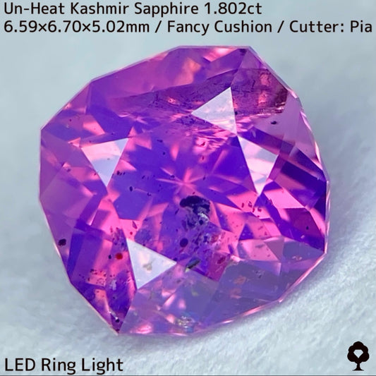 パキスタン産非加熱カシミールサファイア1.802ct★希産カシミールのらしさ全開の名品を色んな光源で楽しんで