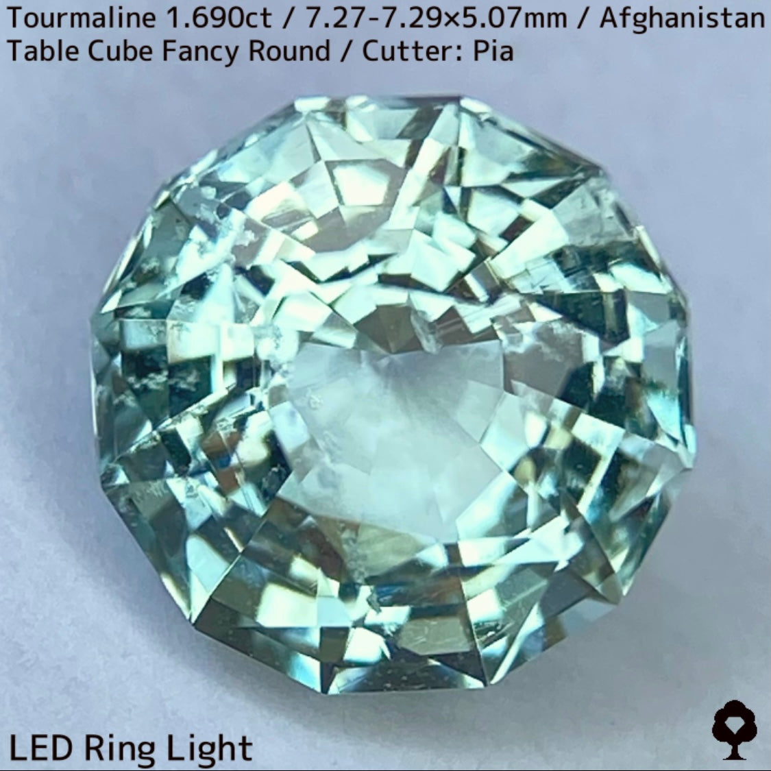 トルマリン1.690ct★美色ミントグリーンの煌めきがギラつくスパイダーカット