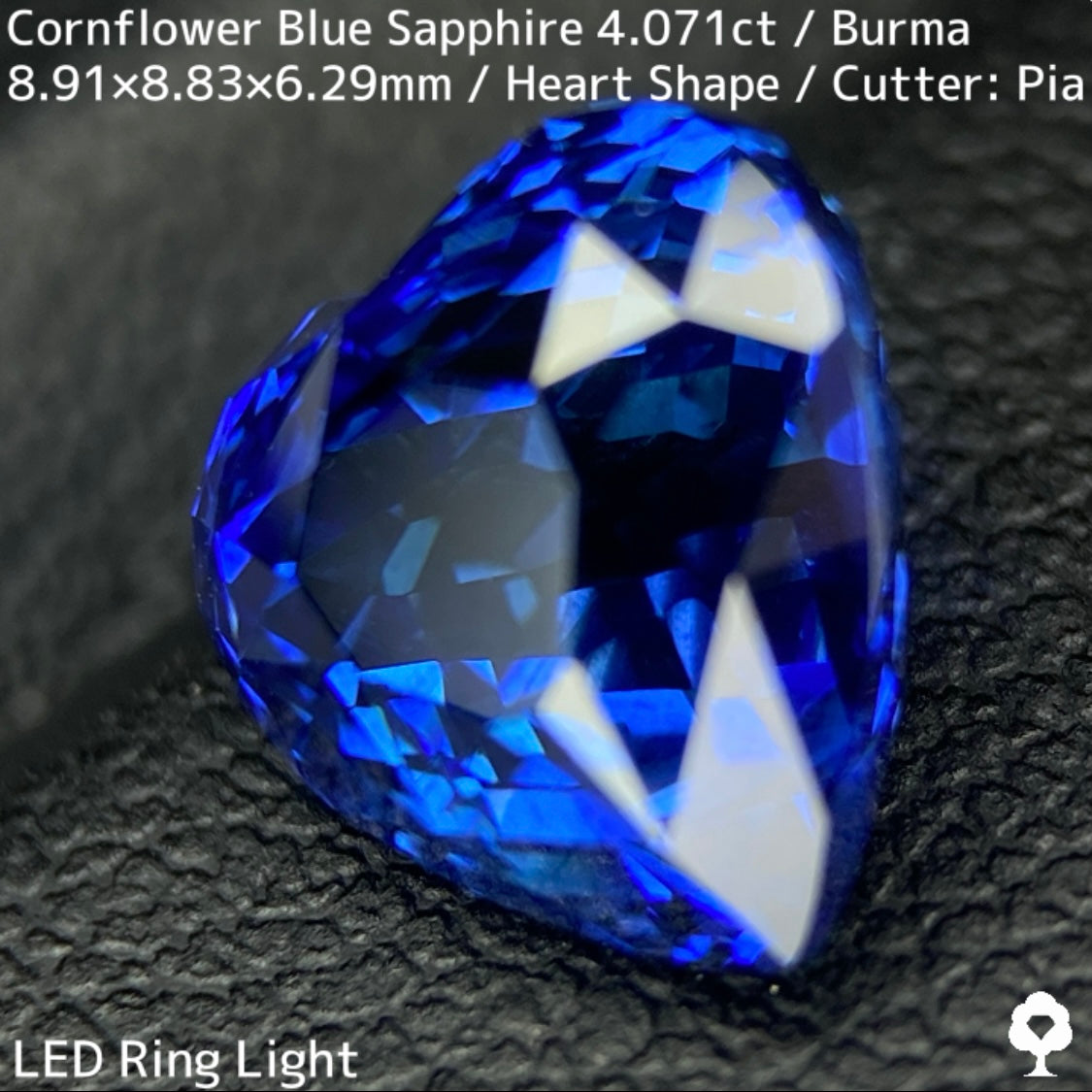 ビルマ産コーンフラワーブルーサファイア4.071ct★ロイヤルブルー寄りの濃いめ最高コーンフラワーブルーが美しすぎる超一級品