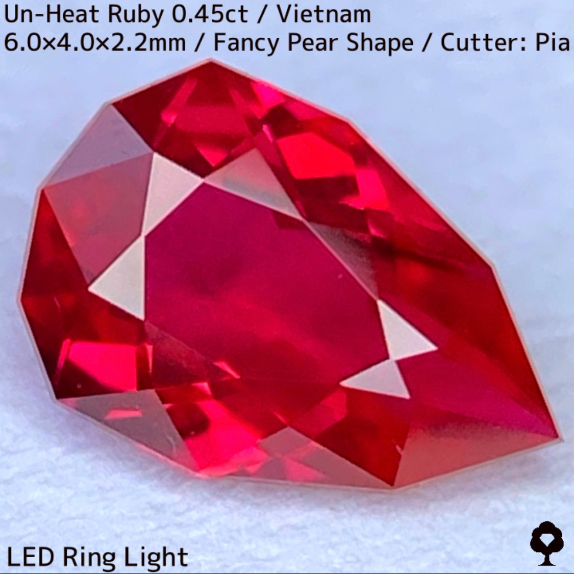 【ご当選者さま専用】ベトナム産非加熱ルビー0.45ct★強烈なネオンの煌めき放つ一級品質の超美色美結晶★コランダムフォーカスプライス