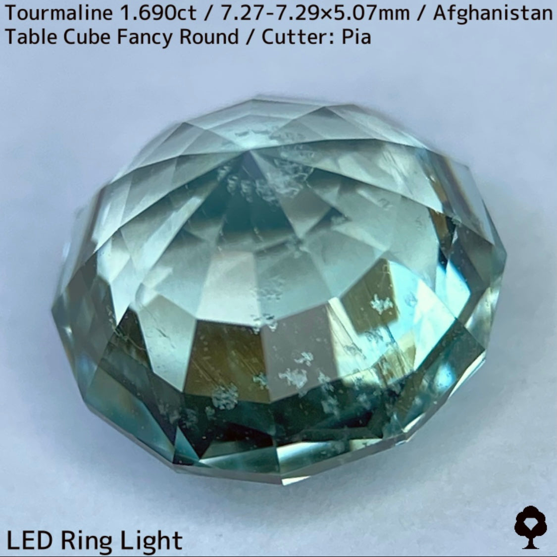 トルマリン1.690ct★美色ミントグリーンの煌めきがギラつくスパイダーカット