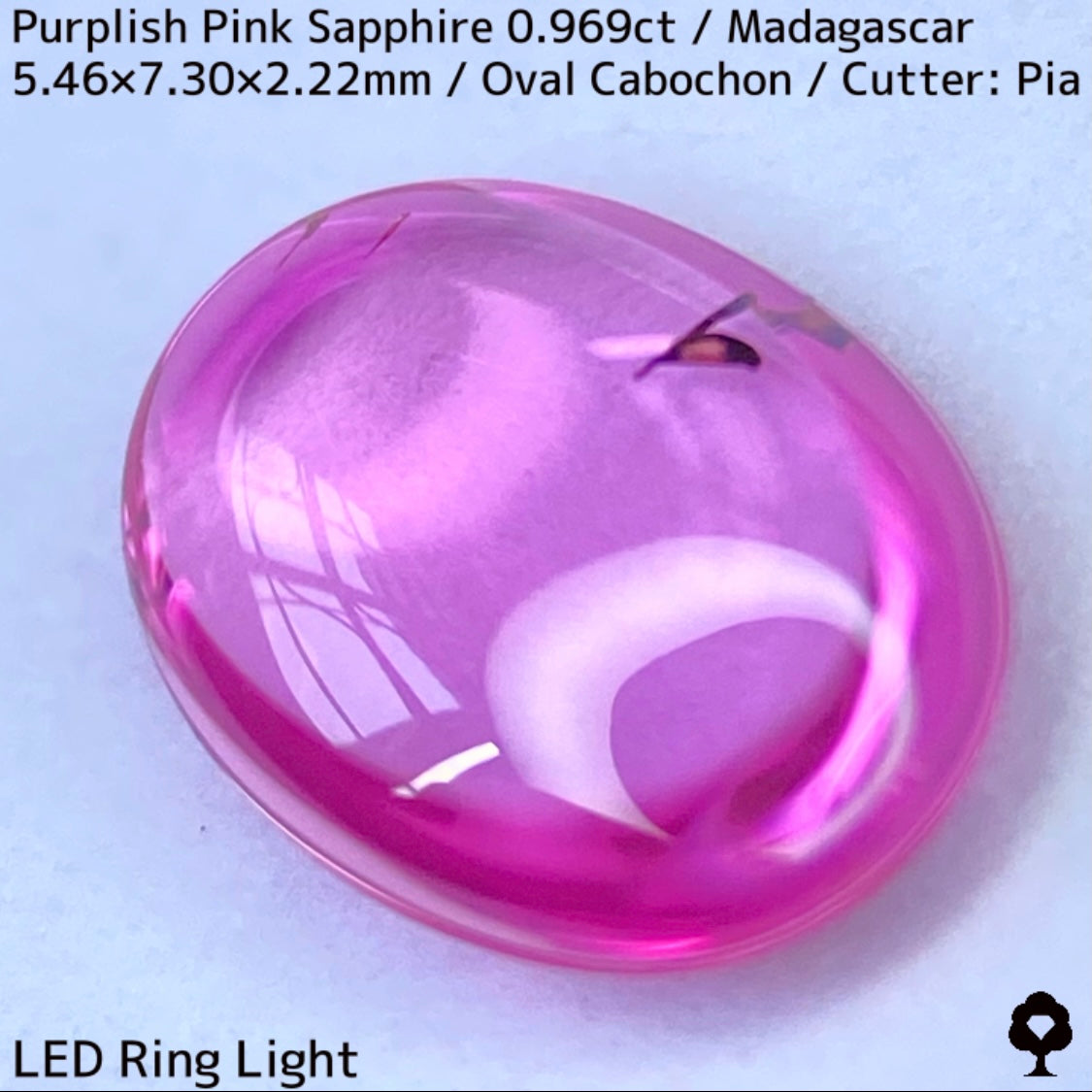 マダガスカル産ピンクサファイア0.969ct★美しい石質の美ピンクに音符のような蝶のようなインクルが可愛い
