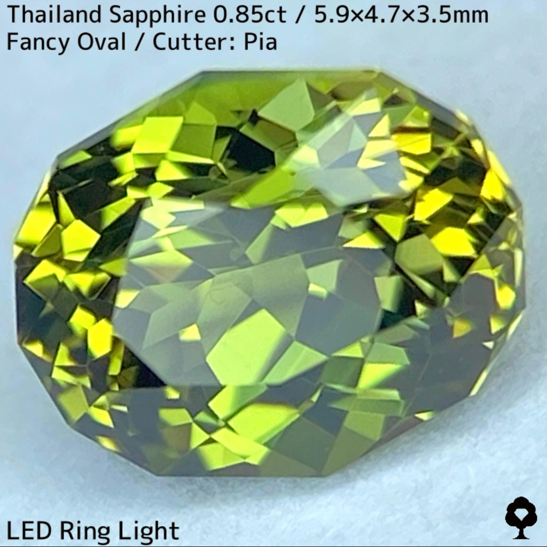 タイ産サファイア0.85ct★バンカチャらしいパーティライムカラーにファイアー彩る美結晶