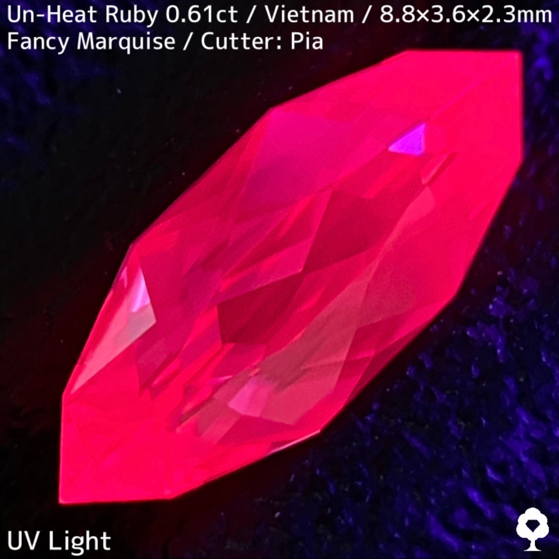 【ご当選者さま専用】ベトナム産非加熱ルビー0.61ct★凄まじいネオンカラー放つ超美結晶の色だまり感たまらない