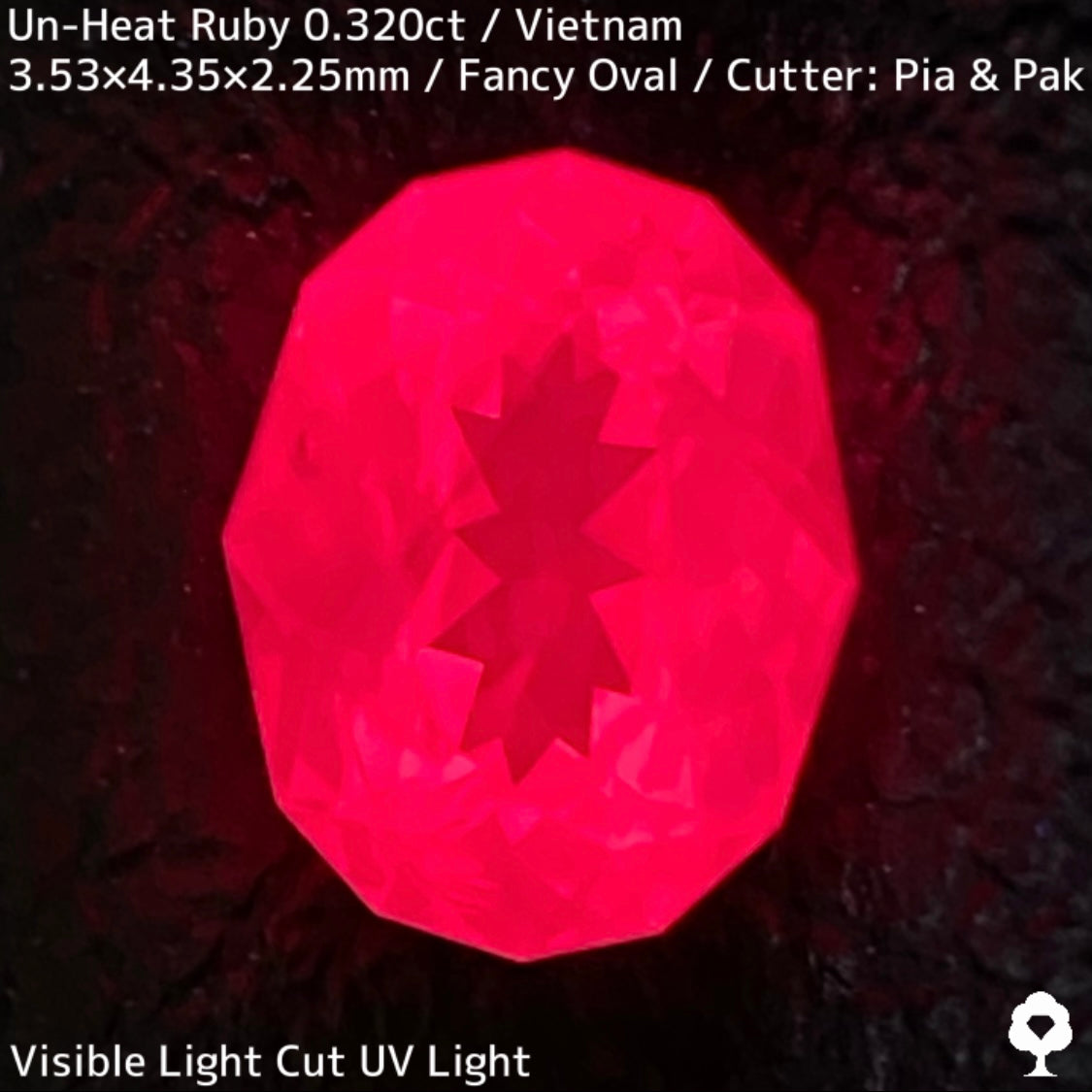 ベトナム産非加熱ルビー0.320ct★ネオンピンクの煌めき溢れる花咲くファンシーオーバル