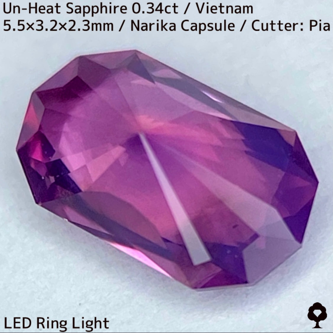 ベトナム産非加熱サファイア0.341ct★初のカプセルナリカーによってシックな色合いからネオンピンクの煌めき放つ