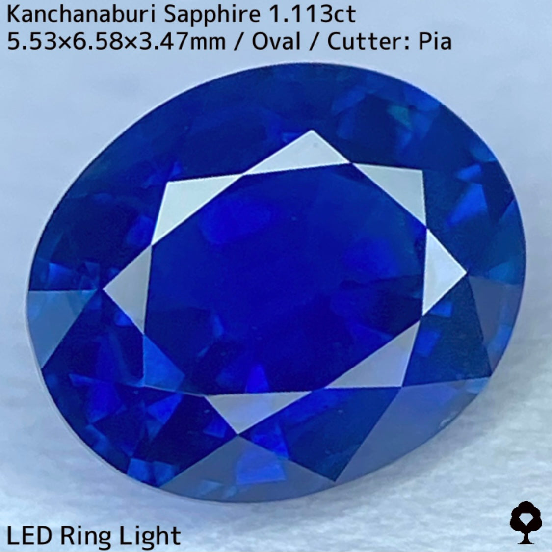カンチャナブリー産サファイア1.113ct★カンチャらしいシルキーでほんのりグリニッシュなブルーの希少1ctアップ