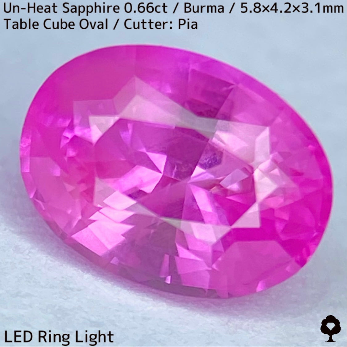 【お客さま専用】ビルマ産非加熱サファイア0.66ct★クリアさもあるシルキーピンクの可愛い強蛍光オーバル