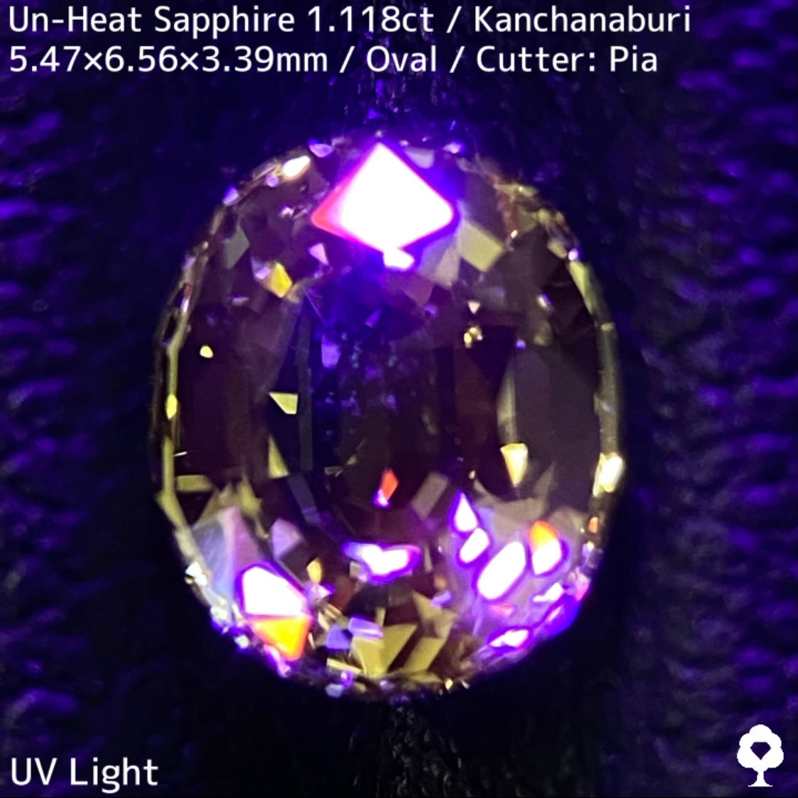 カンチャナブリー産非加熱サファイア1.118ct★弾けるライトグリニッシュイエローの強く美しい煌めき