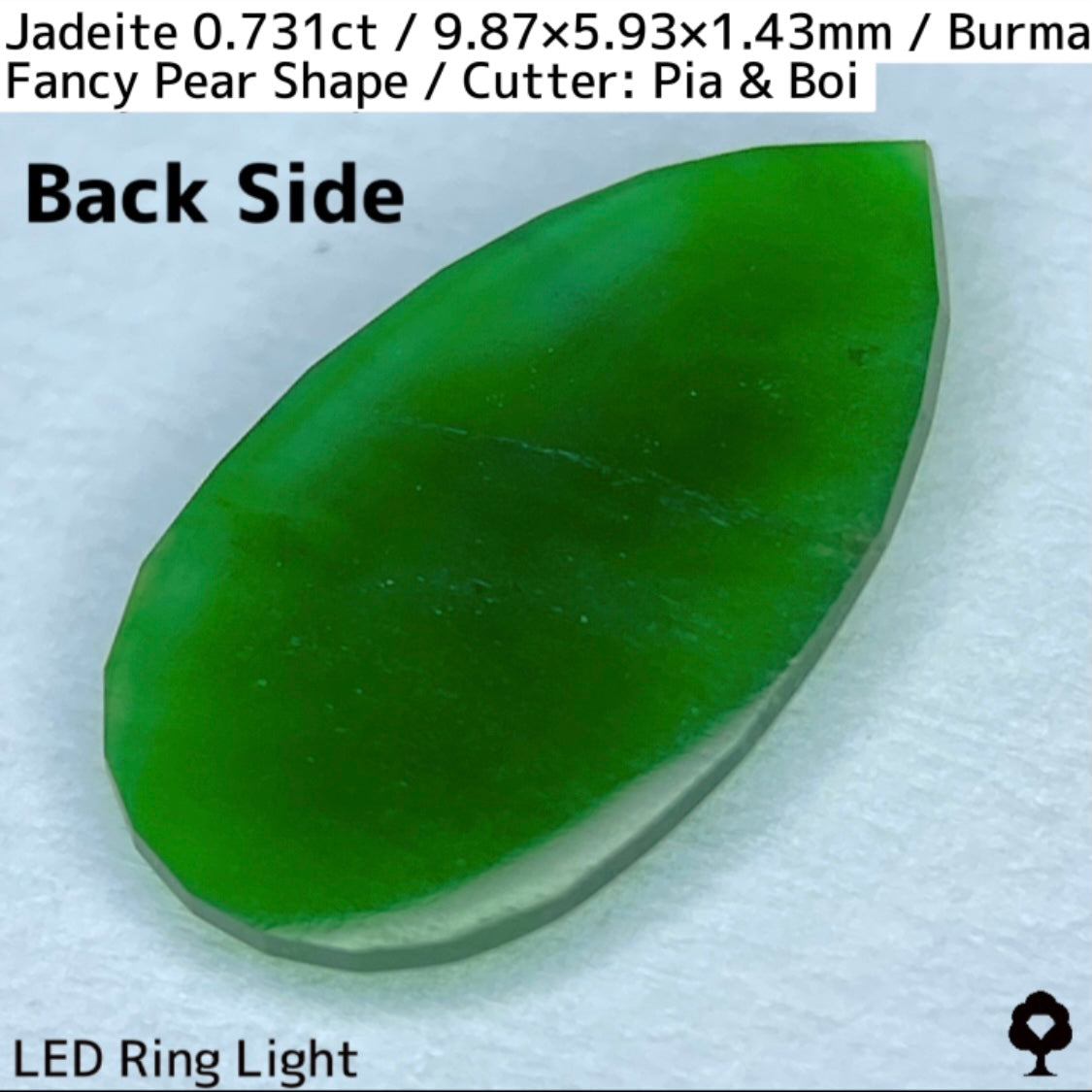 翡翠0.731ct★GTJ創業者大御所のセレクトのお手本翡翠に細やかな縁取り