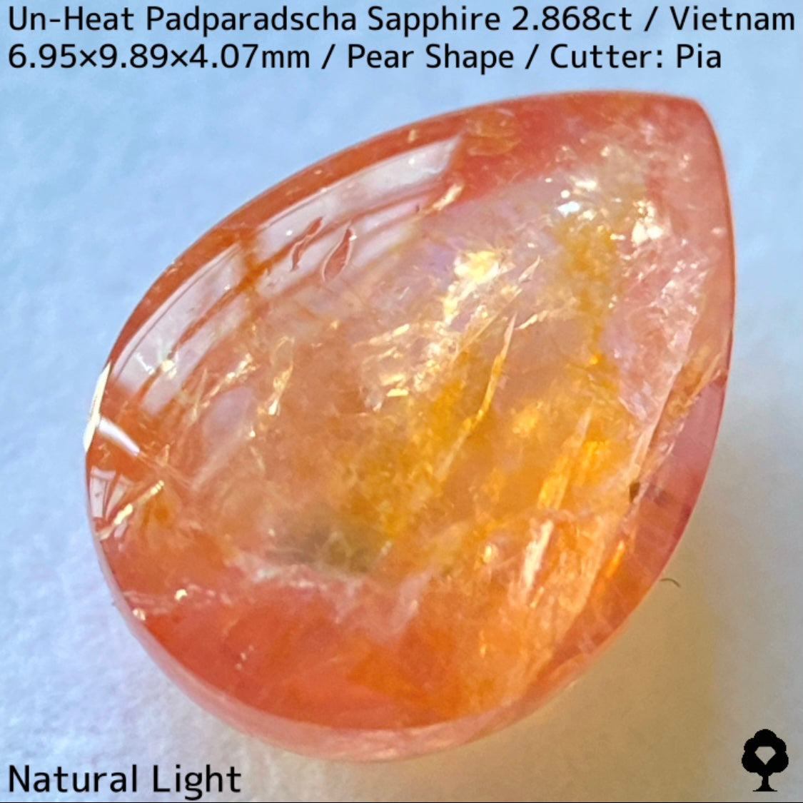 ベトナム産非加熱パパラチァサファイア2.868ct★柔らかなギリギリパパラチァのツヤツヤで可愛すぎるペアシェイプ