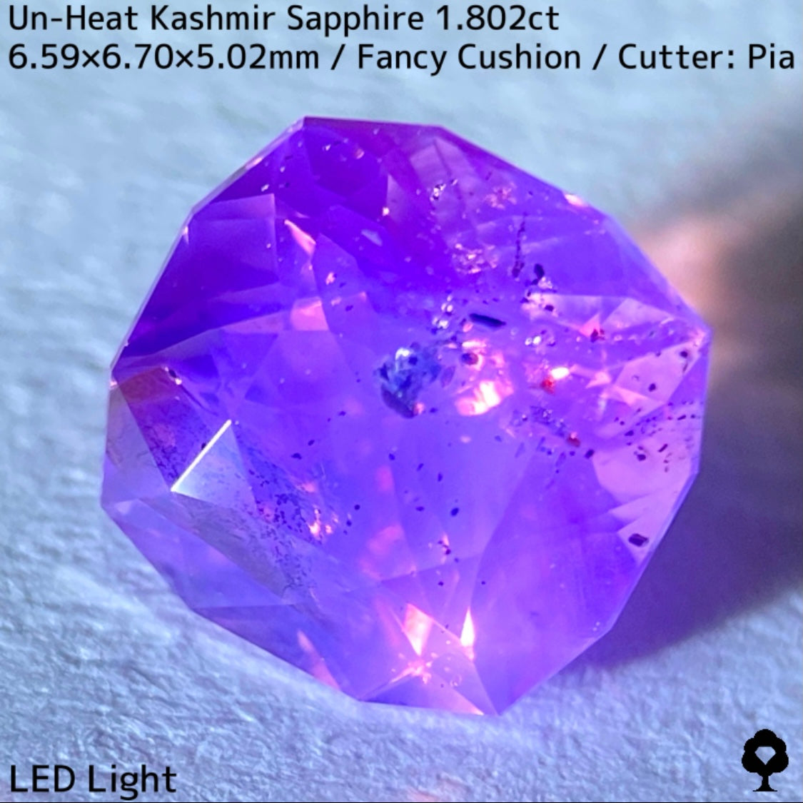 パキスタン産非加熱カシミールサファイア1.802ct★希産カシミールのらしさ全開の名品を色んな光源で楽しんで