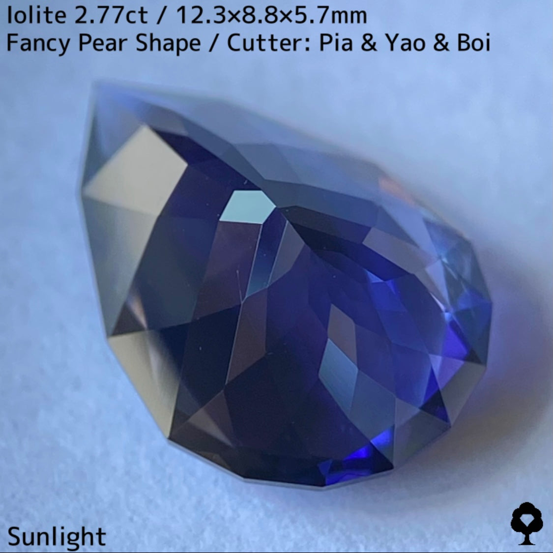 【お客さま専用】アイオライト2.77ct★お問合せ特別価格