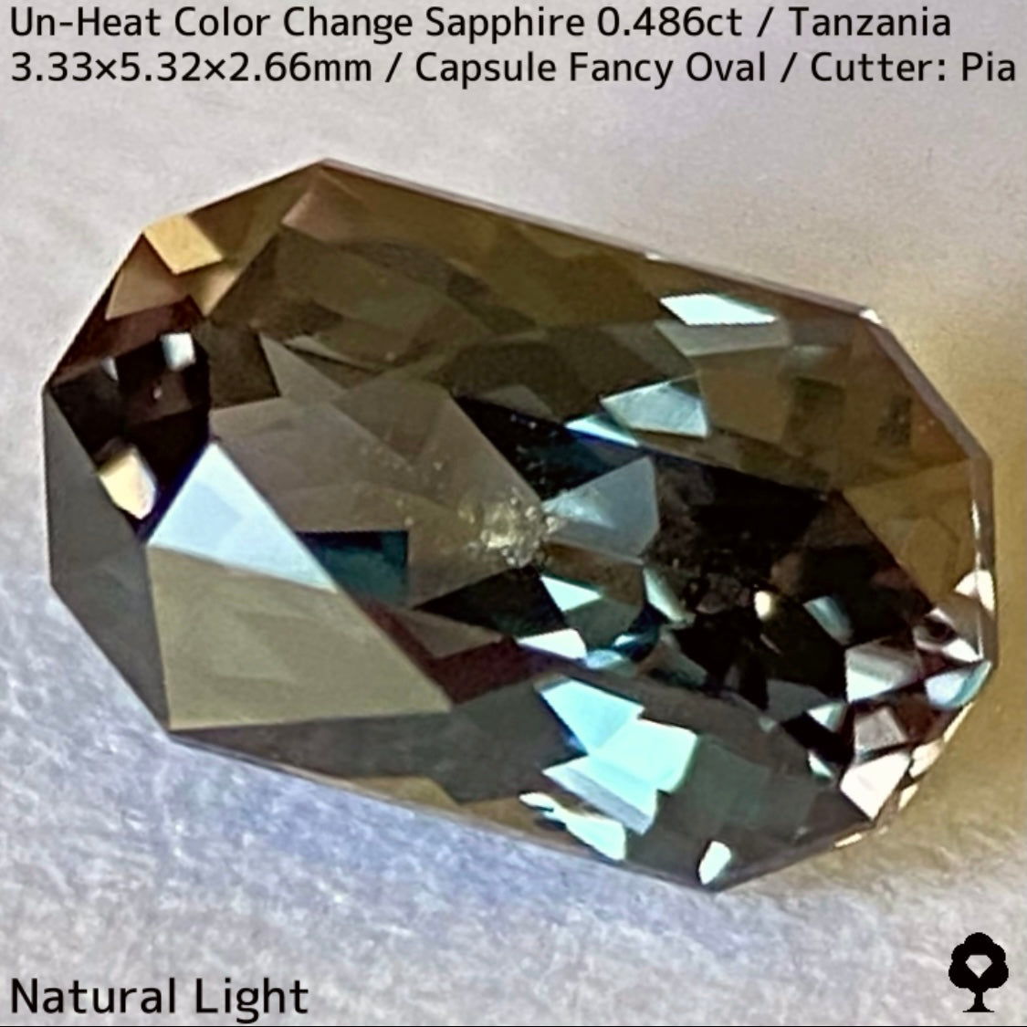 タンザニア産非加熱カラーチェンジサファイア0.486ct★深みの中に潜む多色感とゴールドシルクの銀河広がる