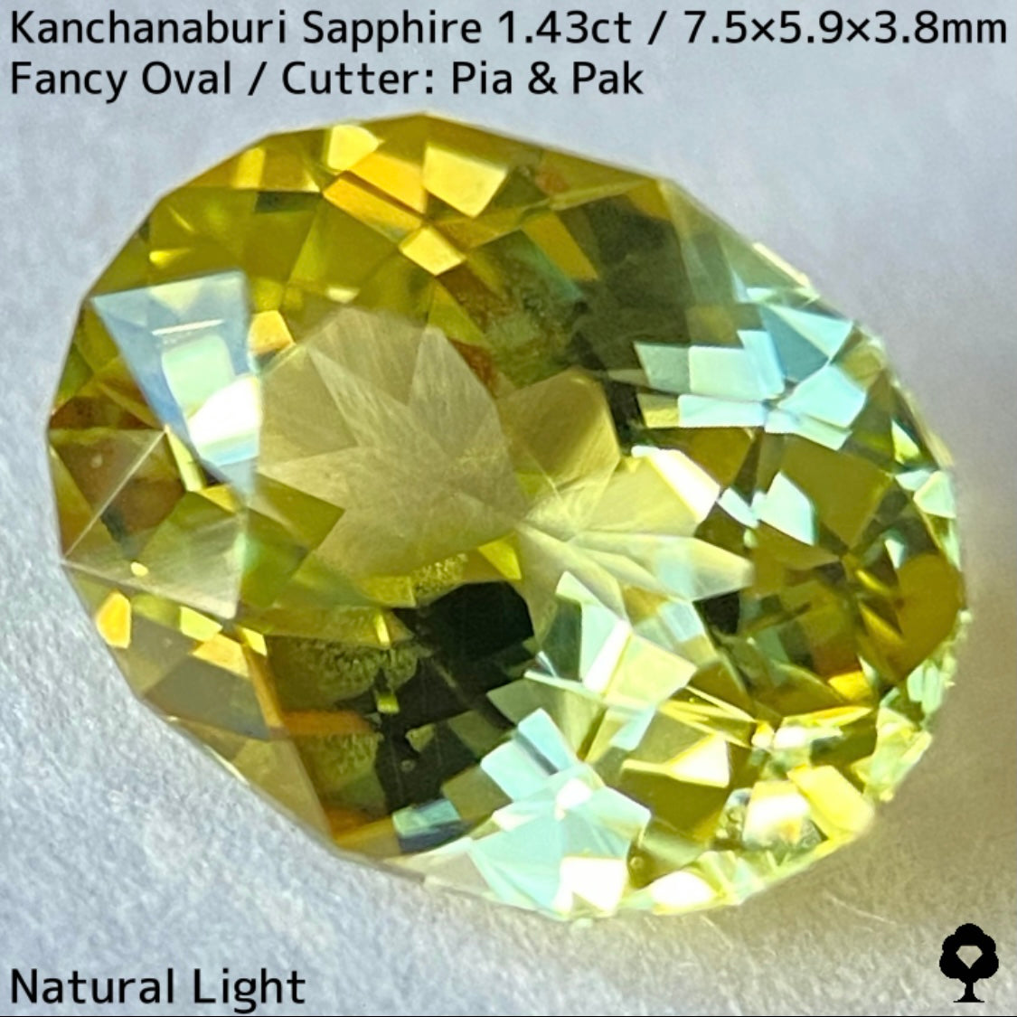 【GW特別企画★30%まほチケキャッシュバック】カンチャナブリー産サファイア1.43ct★グリニッシュイエローの1.4ctのボリュームから溢れるライトカラーの煌めきとファイアーがたまらない