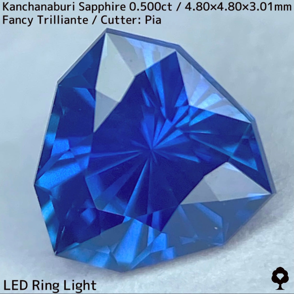 【GW特別企画★30%まほチケキャッシュバック】カンチャナブリー産サファイア0.500ct★シルキーでグリニッシュなカンチャブルーから鋭いナリカーの煌めき
