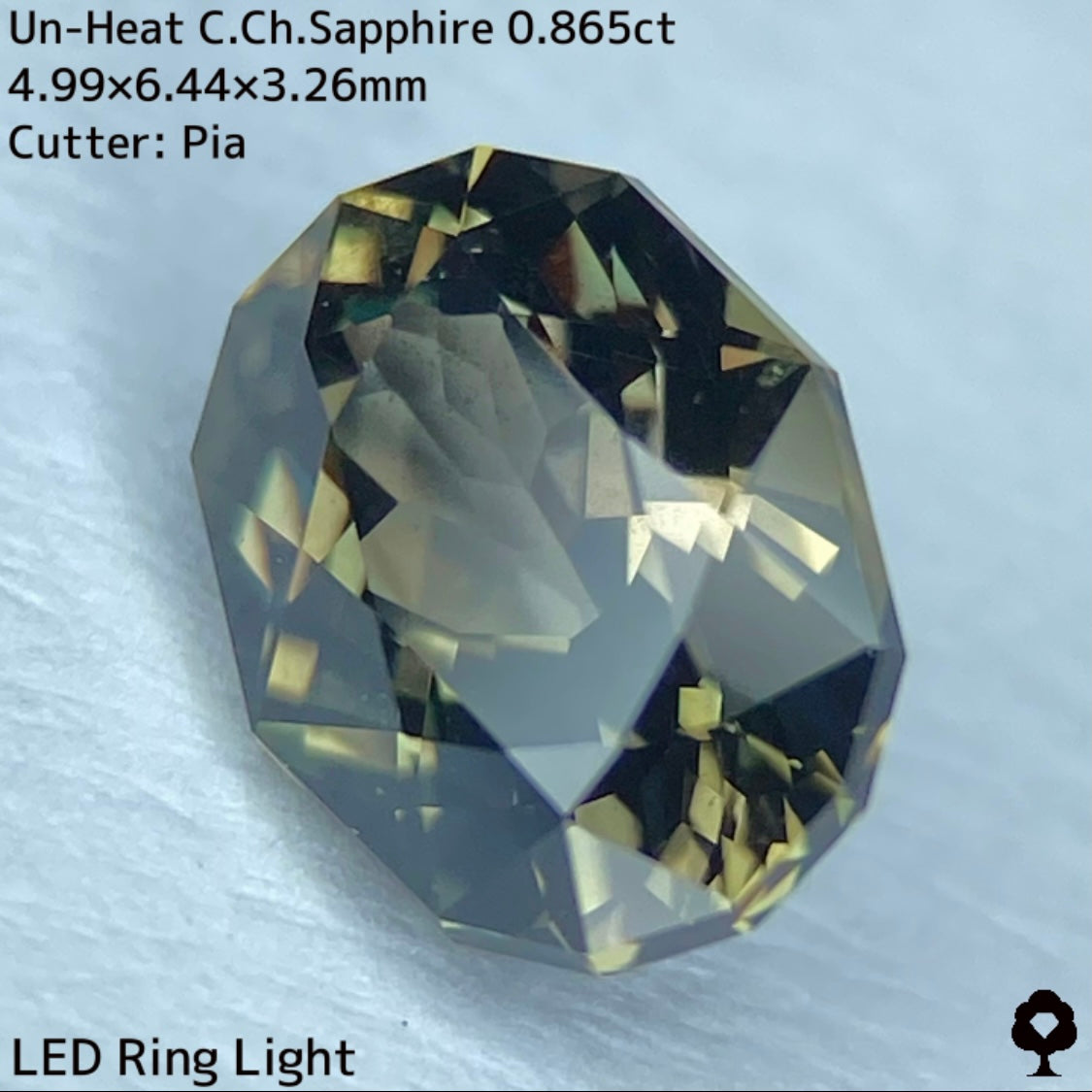 激渋カッコいいカーキの地色がピンキッシュパープルに変化★非加熱カラーチェンジサファイア0.865ct