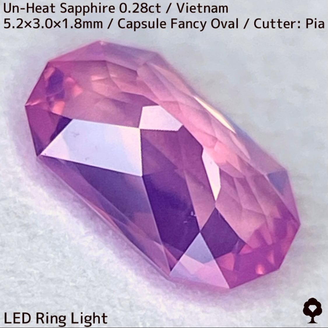 ベトナム産非加熱サファイア0.286ct★ベトナム産の代名詞とも言えるシルキーピンクからネオン感あるゴールドの煌めき