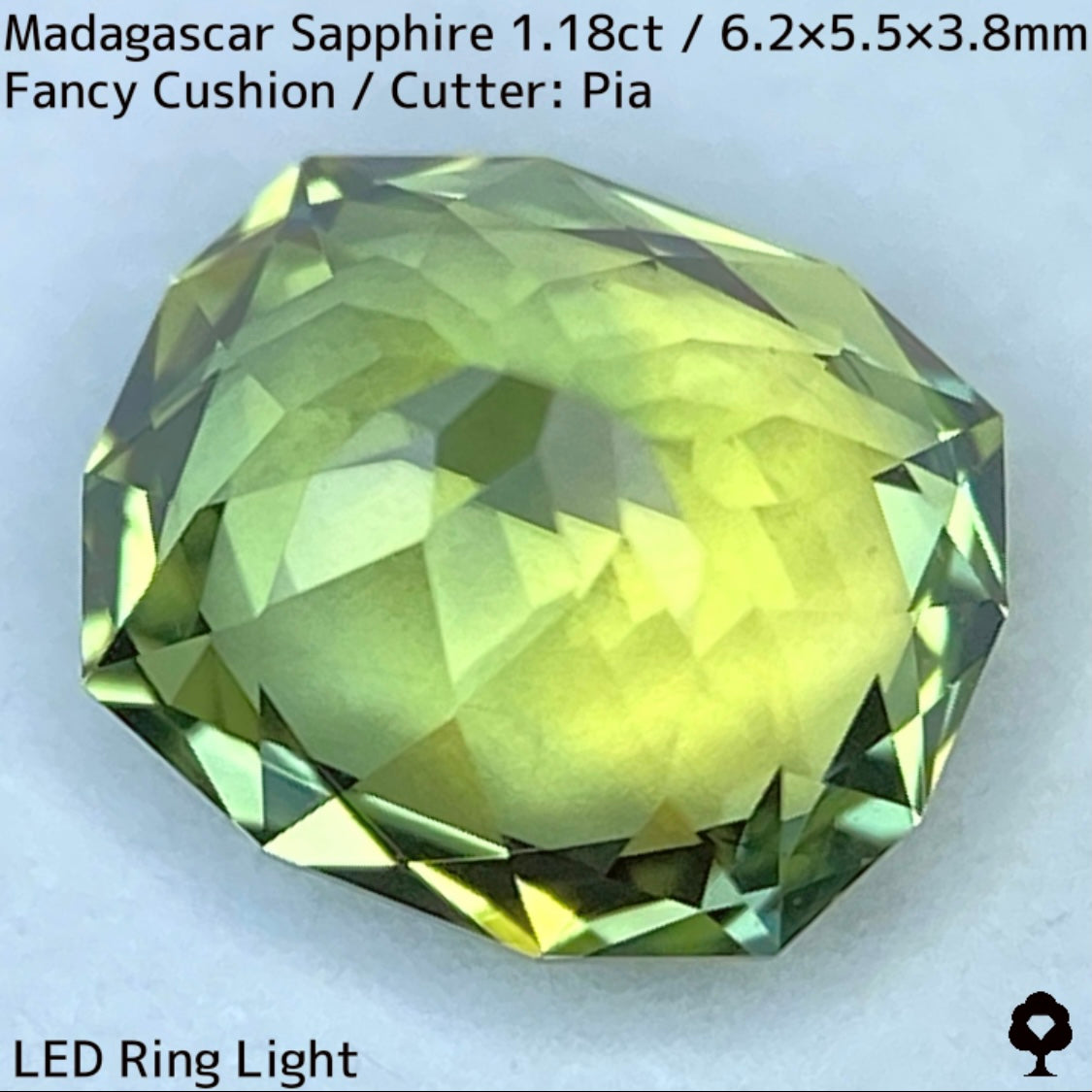 マダガスカル産サファイア1.18ct★パーティ感あるグリーンの華やかな煌めき美しいファンシークッション