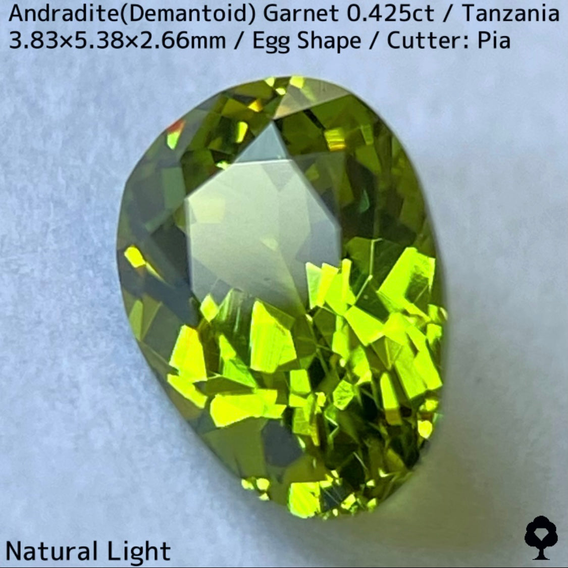 タンザニア産アンドラダイト(デマントイド)ガーネット0.425ct★程よい濃さの美グリーンから煌めき止まらないキュートなエッグシェイプ