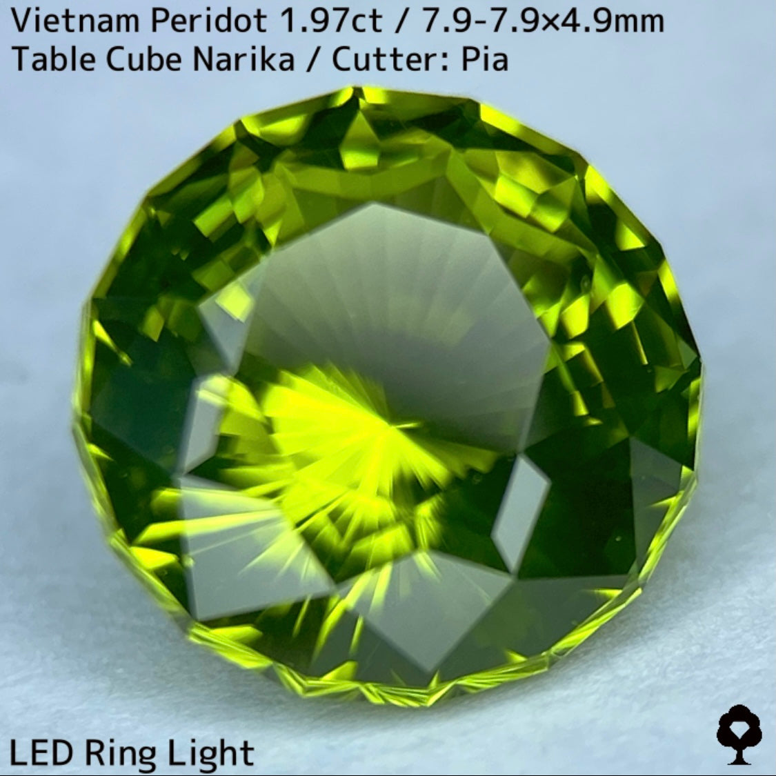 ベトナム産ペリドット1.97ct★さりげなくリリーパッドとシルキーさのある煌めき発色抜群のナリカーカット★