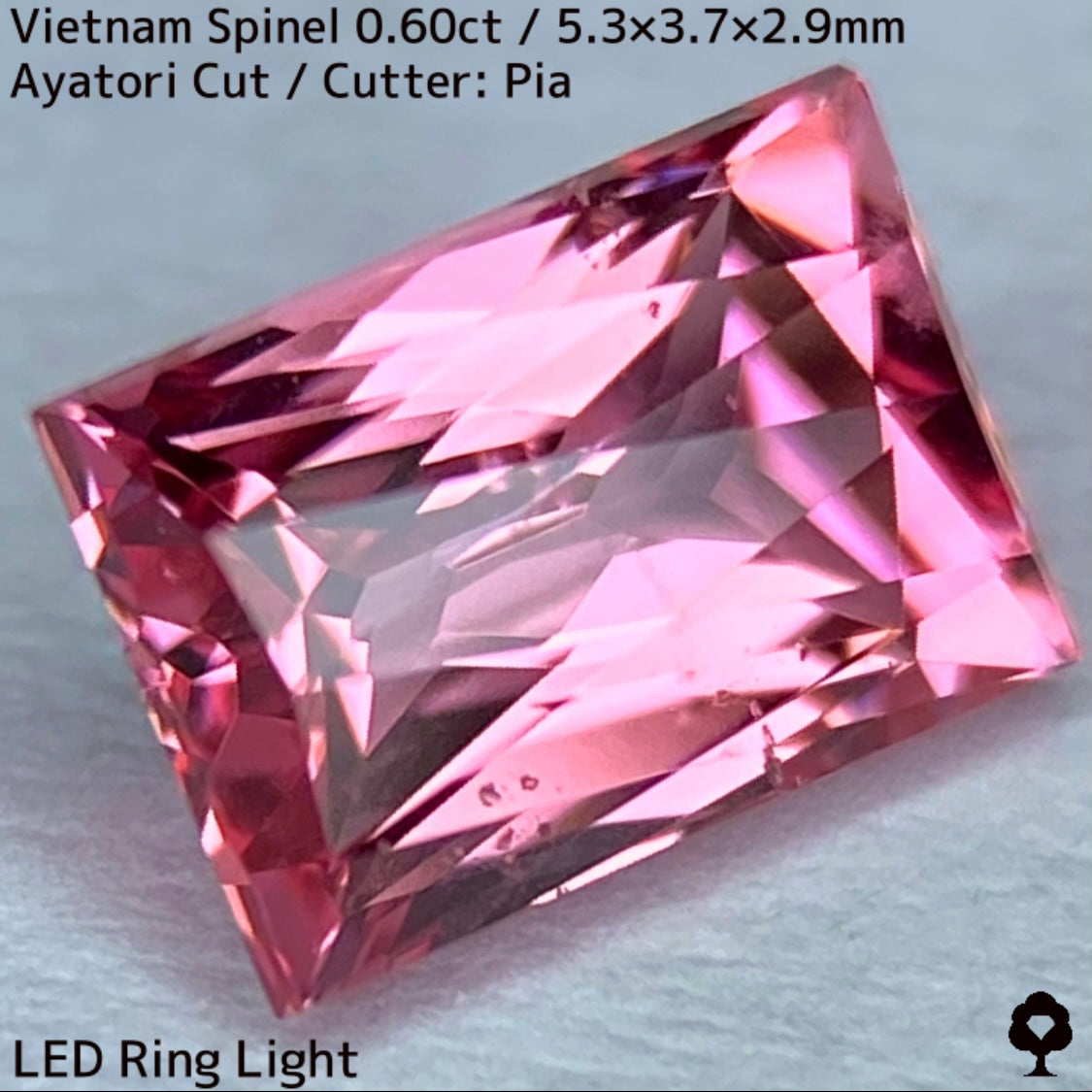 ベトナム産スピネル0.60ct★原石からつくりあげたパパラチァカラーのあやとりカットは可愛すぎ