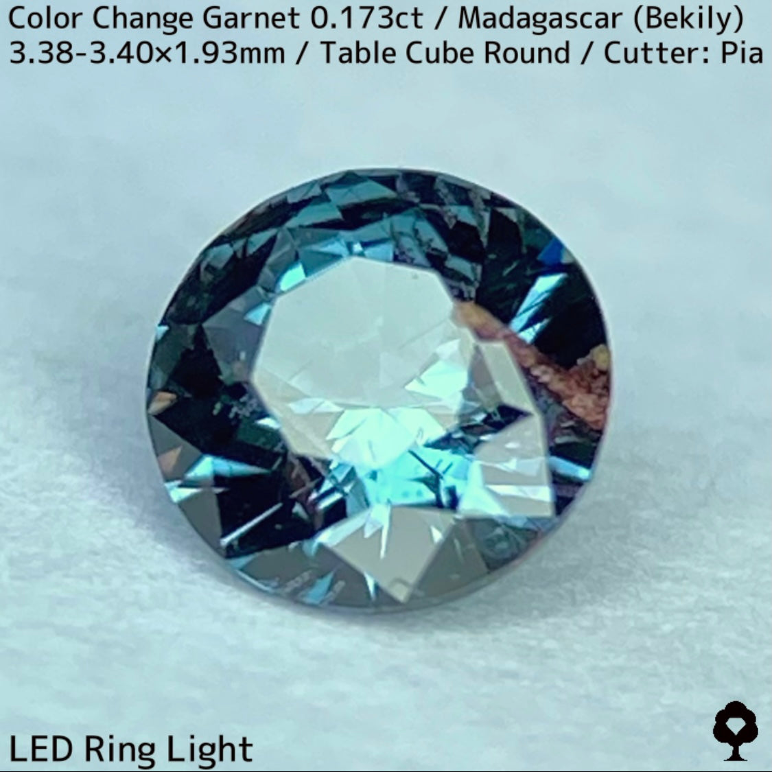 ベキリーカラーチェンジガーネット0.173ct★美しいブルーグリーンからパープリッシュピンクに変わるアレキタイプは内包物も面白い