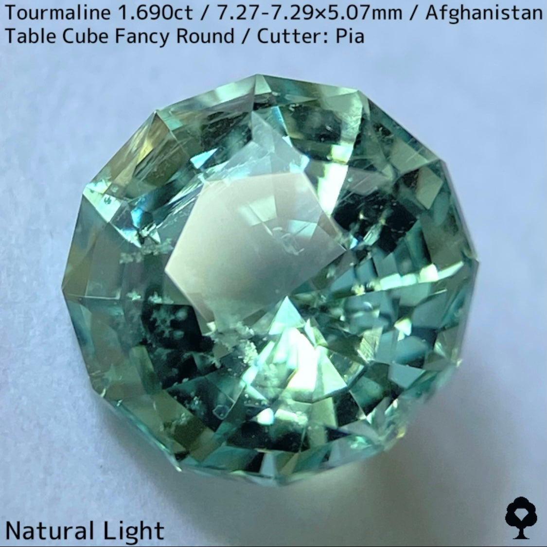 トルマリン1.690ct★美色ミントグリーンの煌めきがギラつくスパイダーカット