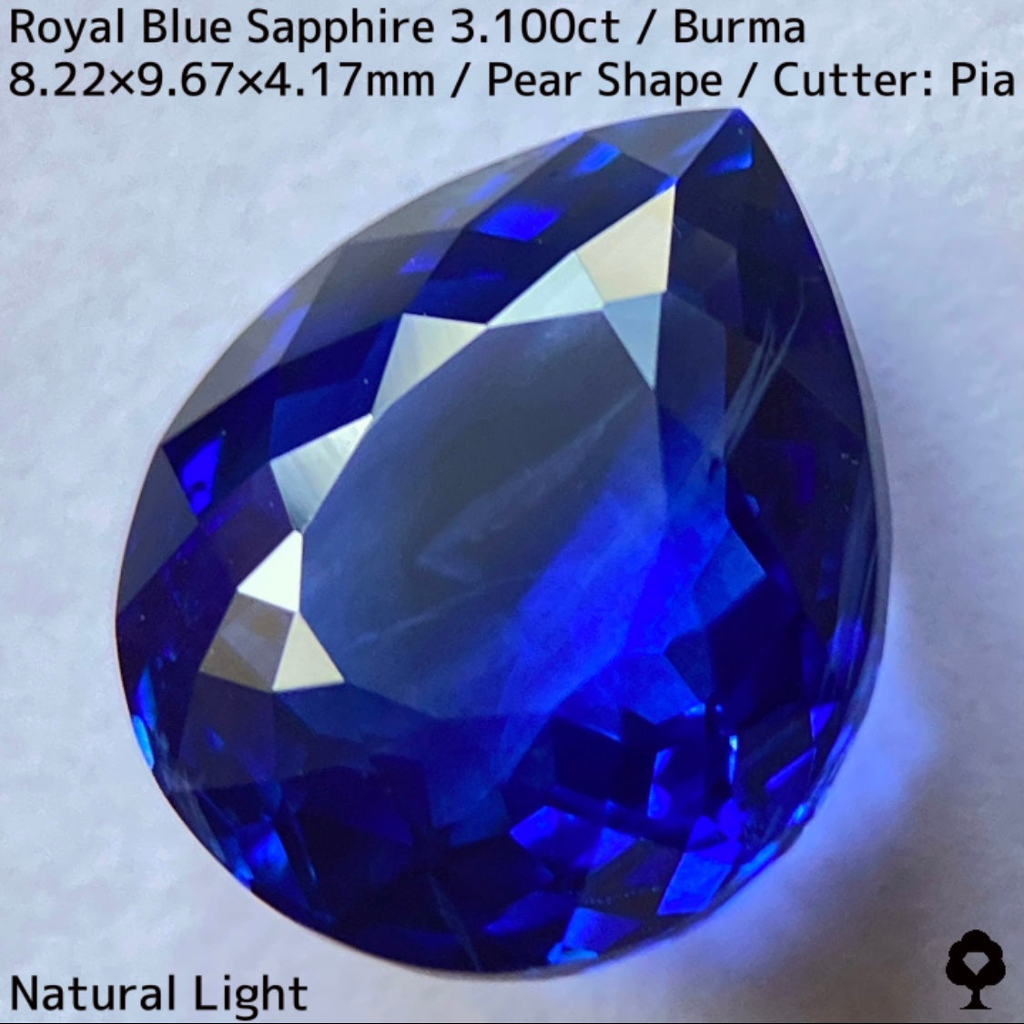 ビルマ産ロイヤルブルーサファイア3.100ct★ふっくらとした可愛いペアシェイプに仕上げられた趣ある超美色ロイヤルブルー