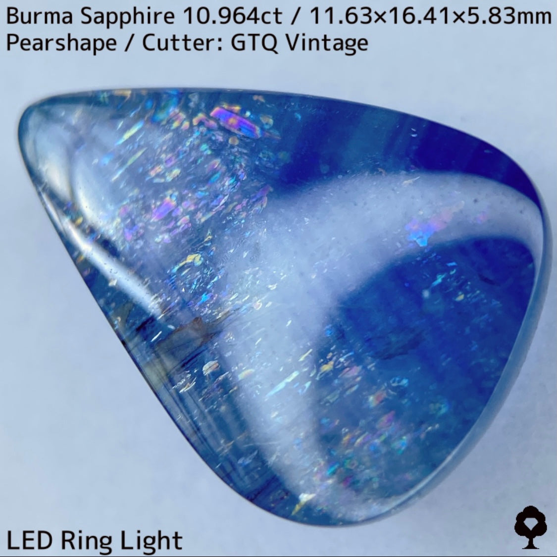 ビルマ産サファイア10.964ct★煌めく虹インクルと実はキャッツが出るなど面白さ詰まった秘蔵品
