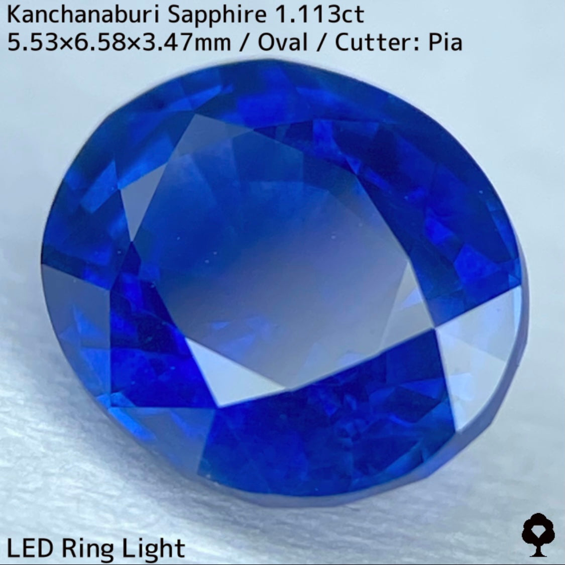カンチャナブリー産サファイア1.113ct★カンチャらしいシルキーでほんのりグリニッシュなブルーの希少1ctアップ