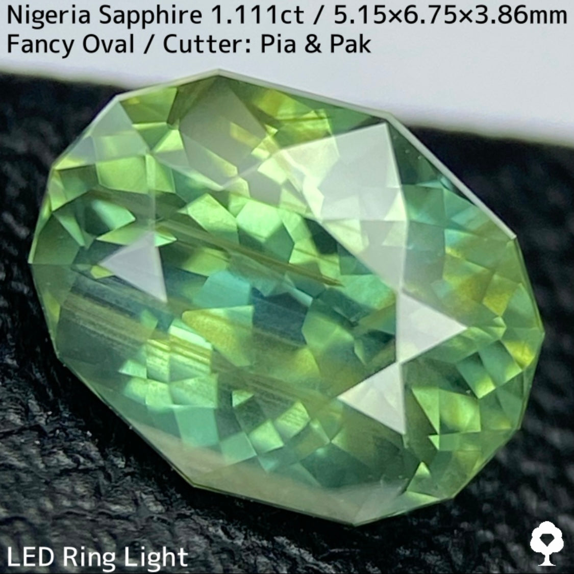 ナイジェリア産サファイア1.111ct★ゴールドのラインが美しいたまらなく面白いシルキーブルーイッシュグリーン