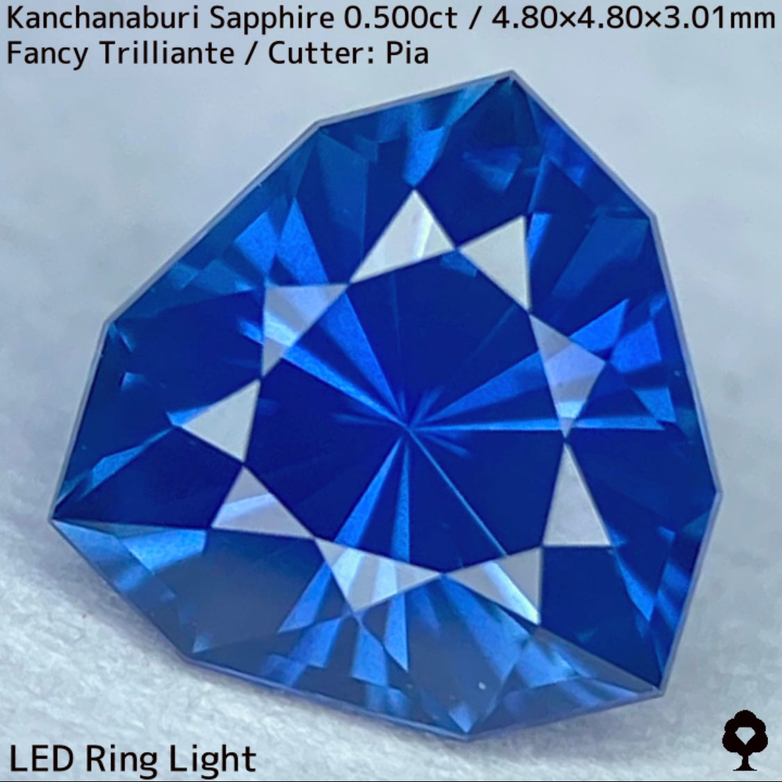 【GW特別企画★30%まほチケキャッシュバック】カンチャナブリー産サファイア0.500ct★シルキーでグリニッシュなカンチャブルーから鋭いナリカーの煌めき