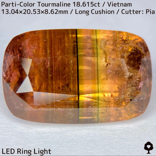 ベトナム産パーティカラートルマリン18.615ct★金屏風桜と夜桜を一石で楽しめる趣深いベトナム巨石