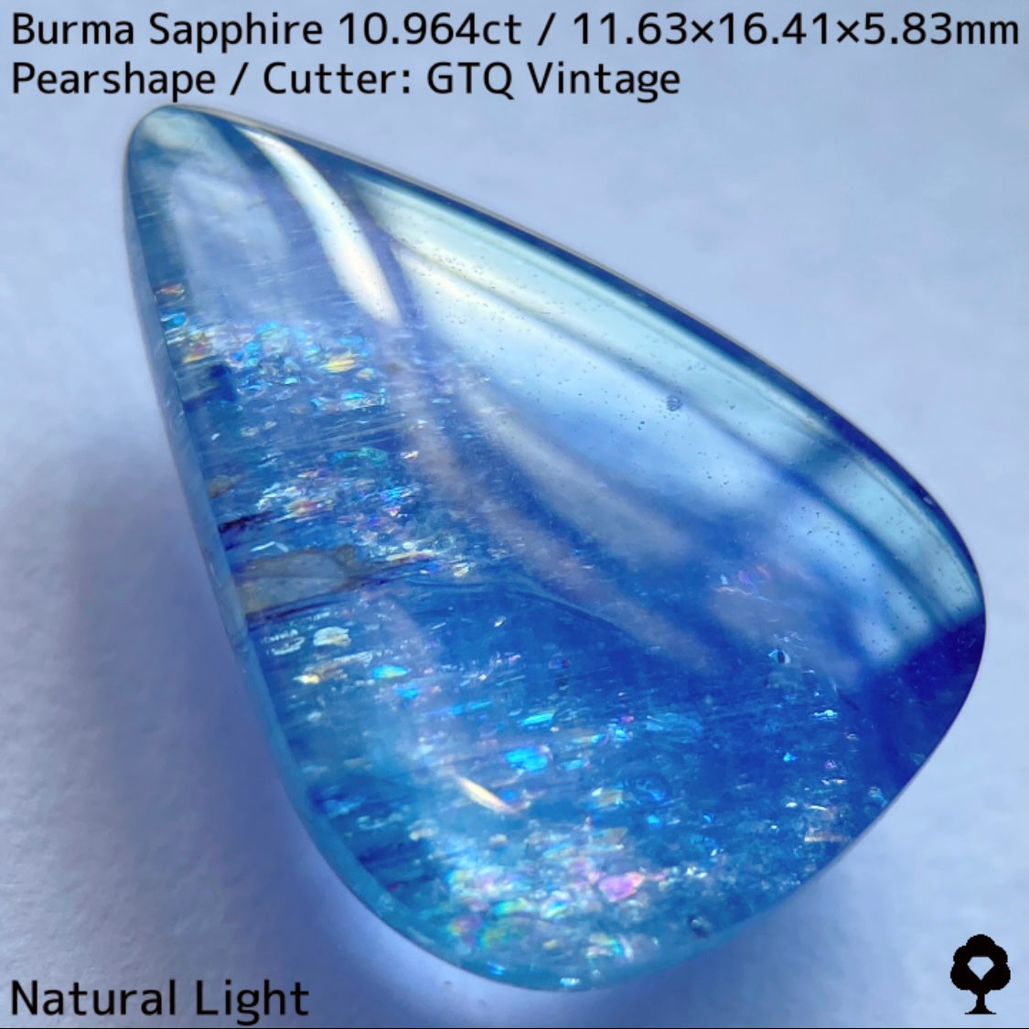 ビルマ産サファイア10.964ct★煌めく虹インクルと実はキャッツが出るなど面白さ詰まった秘蔵品