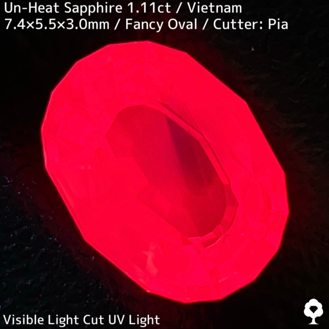 ベトナム産非加熱サファイア1.11ct
