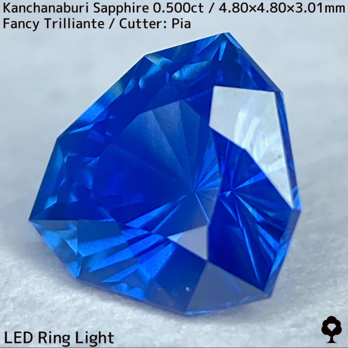 【GW特別企画★30%まほチケキャッシュバック】カンチャナブリー産サファイア0.500ct★シルキーでグリニッシュなカンチャブルーから鋭いナリカーの煌めき