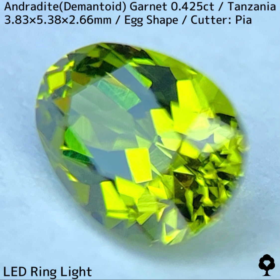タンザニア産アンドラダイト(デマントイド)ガーネット0.425ct★程よい濃さの美グリーンから煌めき止まらないキュートなエッグシェイプ