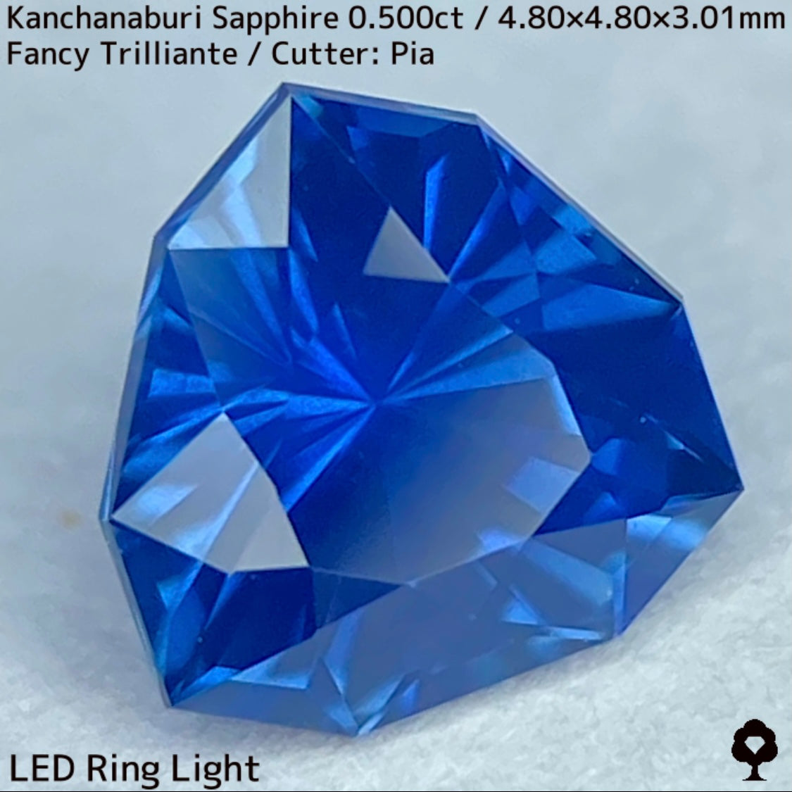 【GW特別企画★30%まほチケキャッシュバック】カンチャナブリー産サファイア0.500ct★シルキーでグリニッシュなカンチャブルーから鋭いナリカーの煌めき