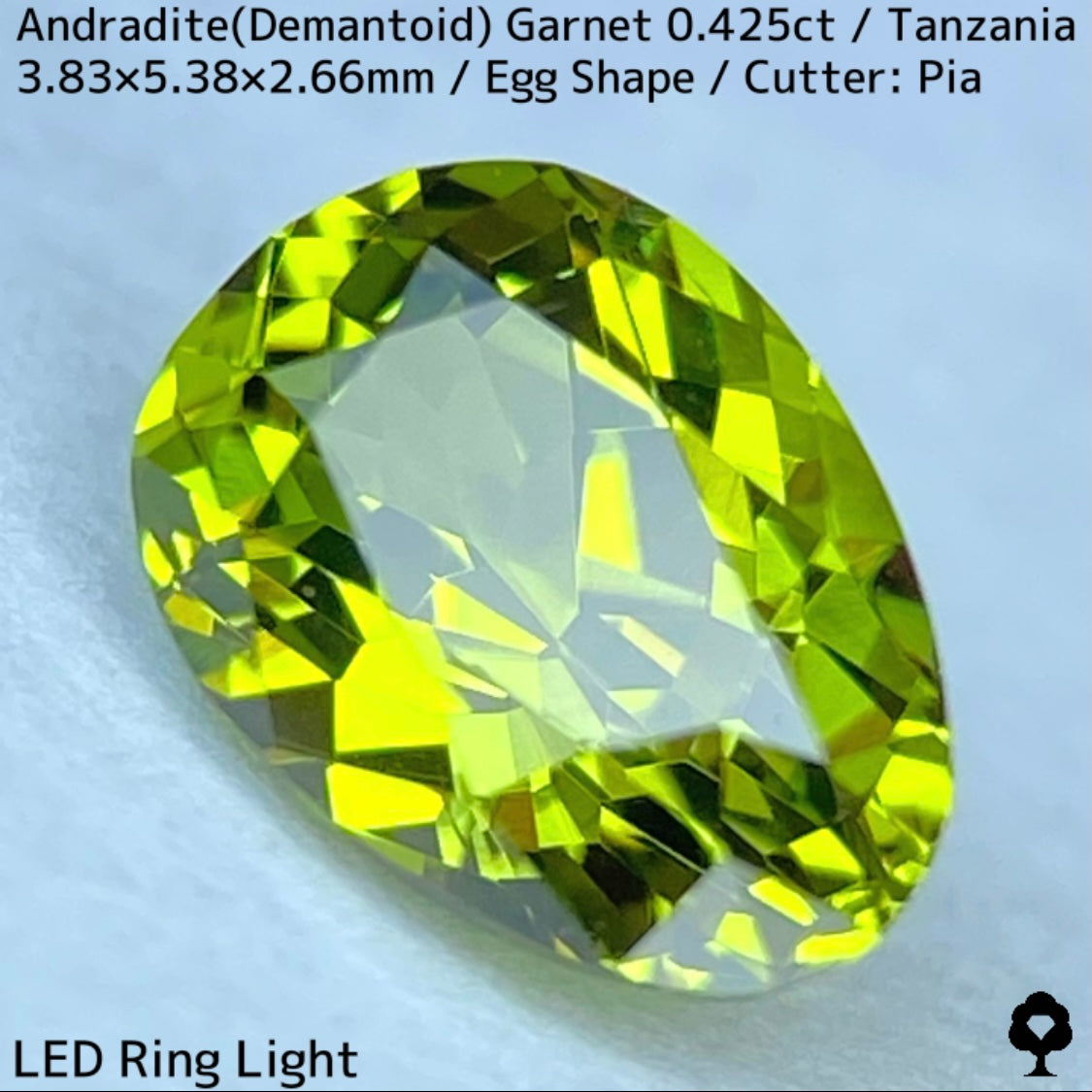 タンザニア産アンドラダイト(デマントイド)ガーネット0.425ct★程よい濃さの美グリーンから煌めき止まらないキュートなエッグシェイプ
