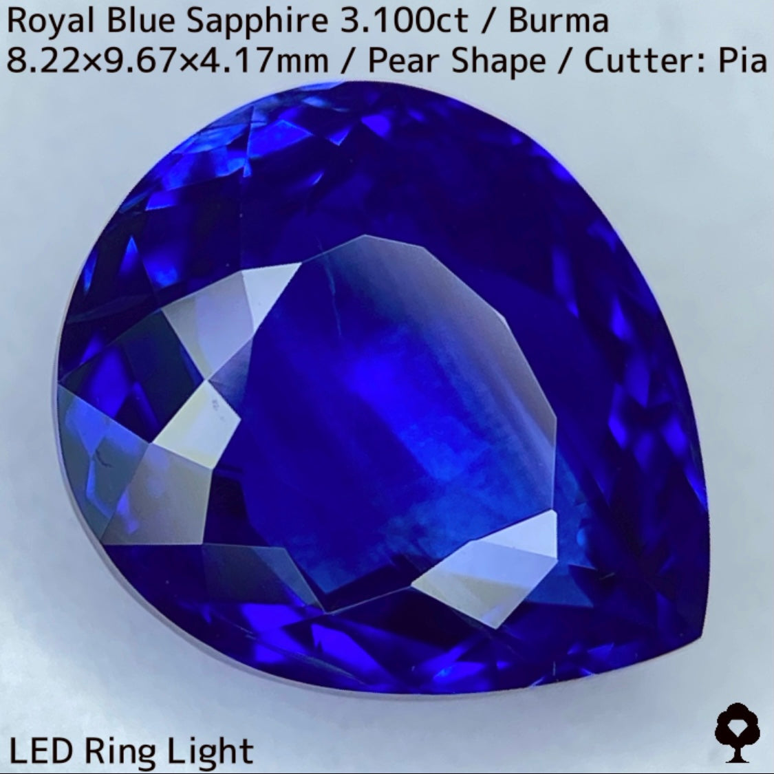 ビルマ産ロイヤルブルーサファイア3.100ct★ふっくらとした可愛いペアシェイプに仕上げられた趣ある超美色ロイヤルブルー
