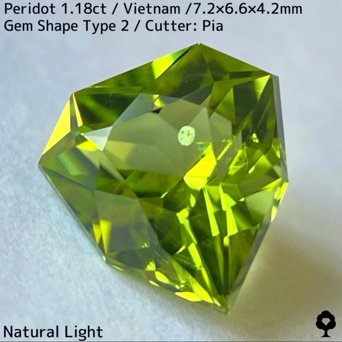 【ご当選者さま専用】ベトナム産ペリドット1.18ct★リリーパッド入り美色結晶の盾のような宝石形タイプ2