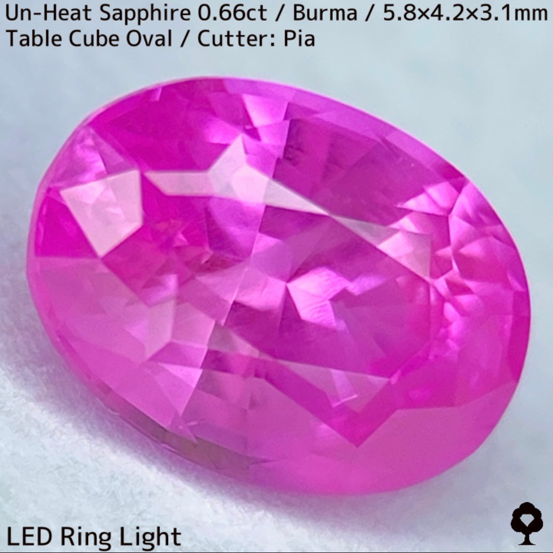 【お客さま専用】ビルマ産非加熱サファイア0.66ct★クリアさもあるシルキーピンクの可愛い強蛍光オーバル