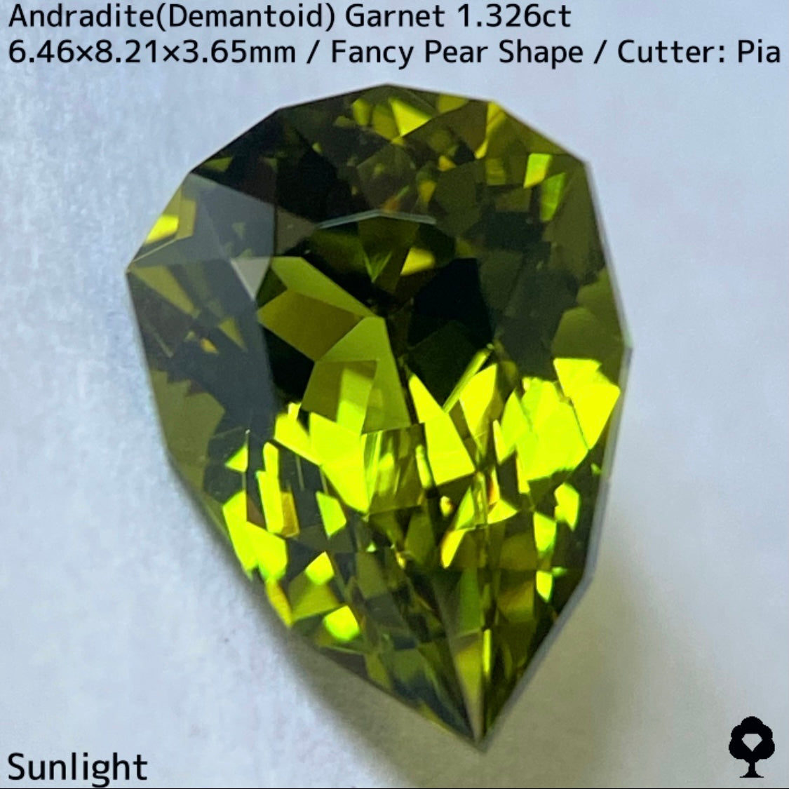 アンドラダイト(デマントイド)ガーネット1.326ct