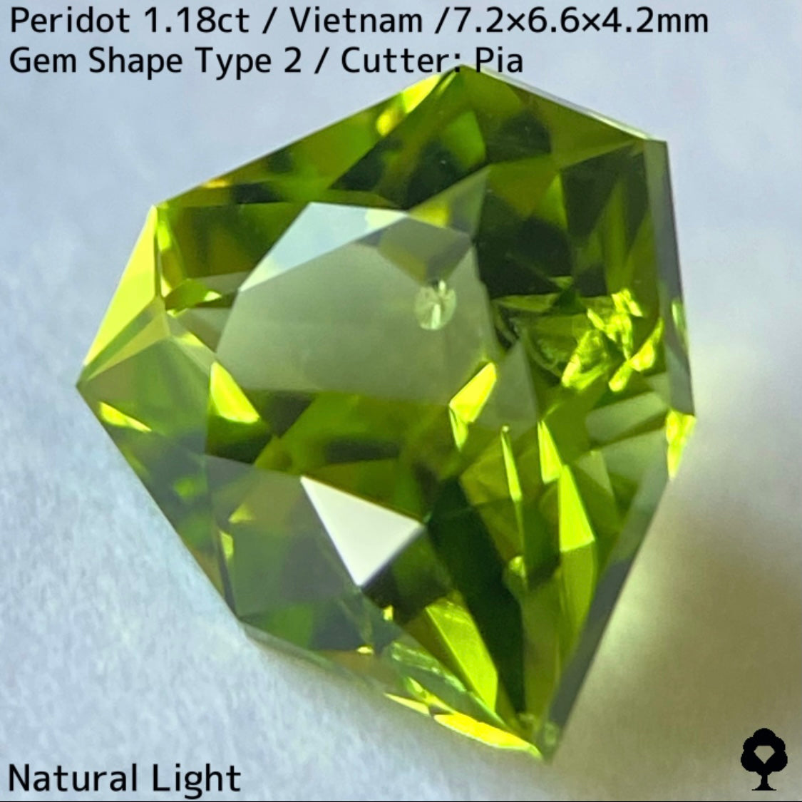 【ご当選者さま専用】ベトナム産ペリドット1.18ct★リリーパッド入り美色結晶の盾のような宝石形タイプ2