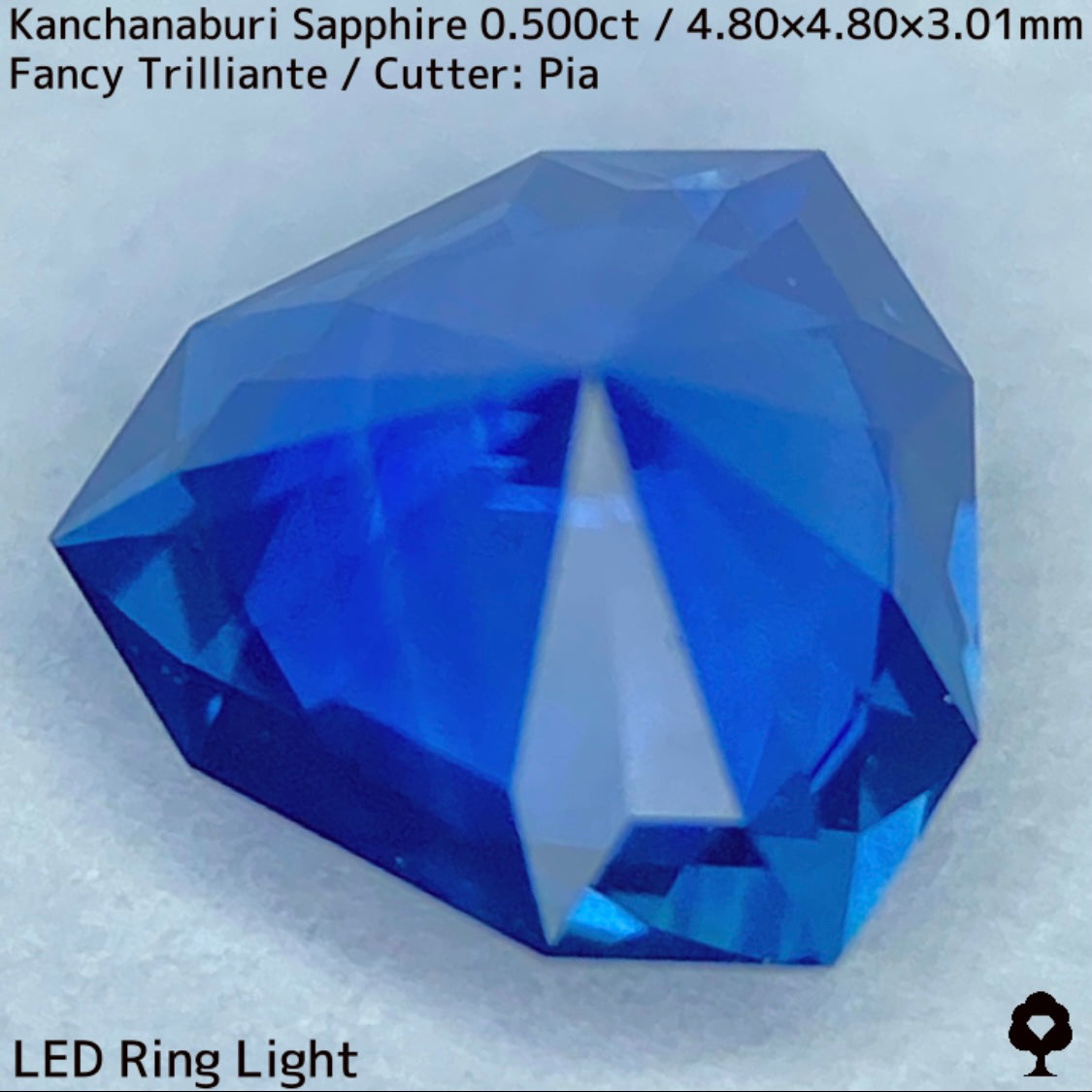 【GW特別企画★30%まほチケキャッシュバック】カンチャナブリー産サファイア0.500ct★シルキーでグリニッシュなカンチャブルーから鋭いナリカーの煌めき