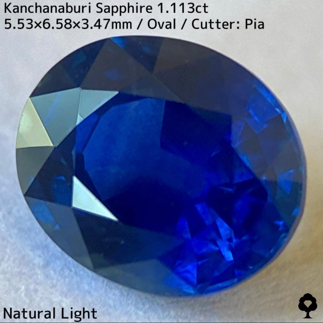 カンチャナブリー産サファイア1.113ct★カンチャらしいシルキーでほんのりグリニッシュなブルーの希少1ctアップ